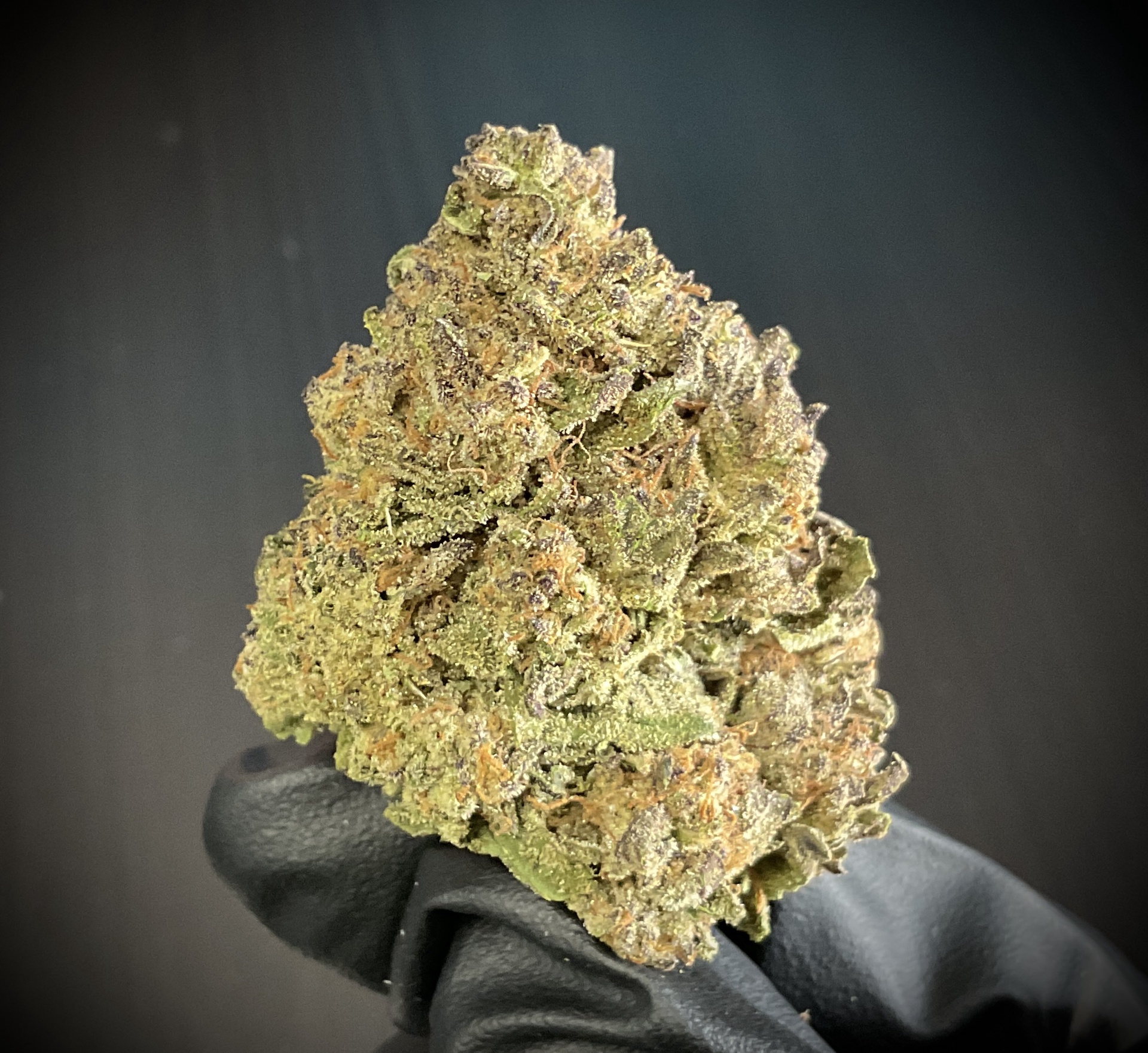 Cereal Milk THCA Mid Shelf / Preroll